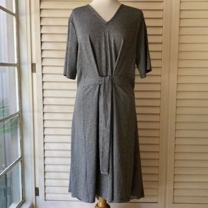 Zara Trafaluc Dress